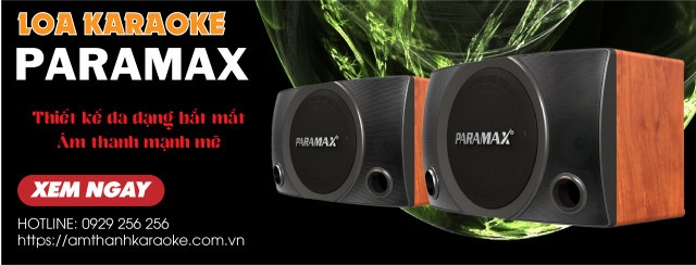 Loa karaoke Paramax thiết kế đa dạng