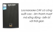 Tổng hợp loa CAF Bass 30 có công suất mạnh mẽ nhất