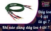 Dây loa 4 lõi là gì? Khi nào dùng dây loa 4 lõi?