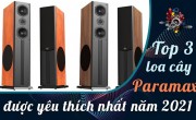 Top 3 loa cây Paramax được yêu thích nhất năm 2021