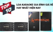 Top 10 cặp loa karaoke có giá tốt nhất trên thị trường