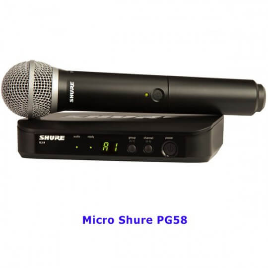 Micro Shure PG58