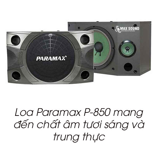 Loa Paramax P-850 mang đến âm thanh tươi sáng
