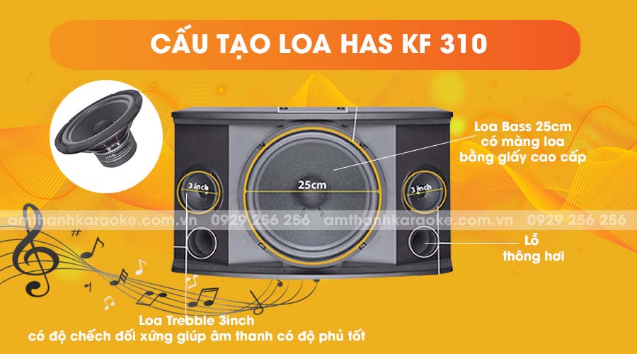 Cấu tạo loa HAS KF-310