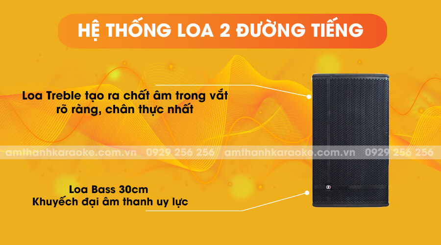 Loa Louis Martin Kone 12 là hệ thống loa 2 đường tiếng