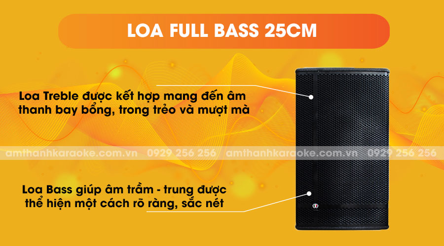 Loa Louis Martin Kone 10 full bass 25cm