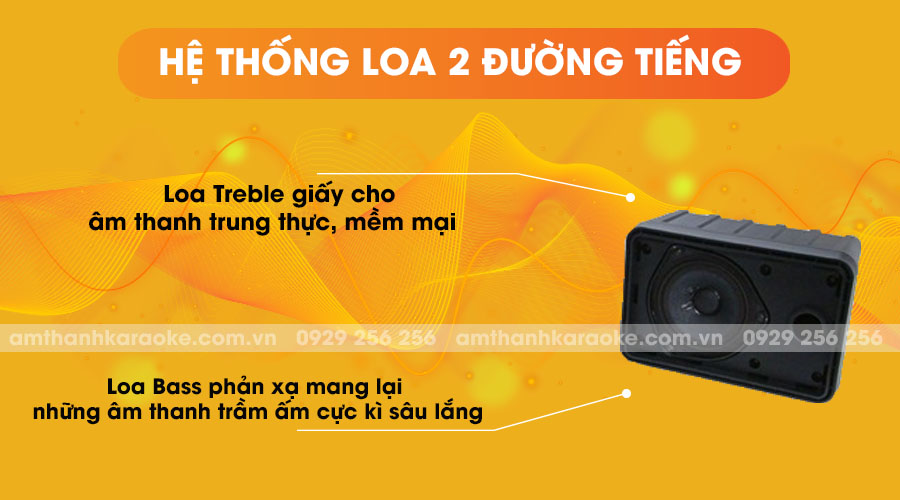Loa Bose 101 - hệ thống loa 2 đường tiếng