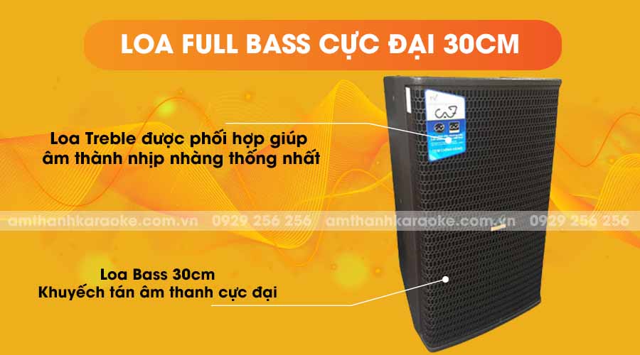 Loa CAF CA-12 Pro full bass cực đại 30cm