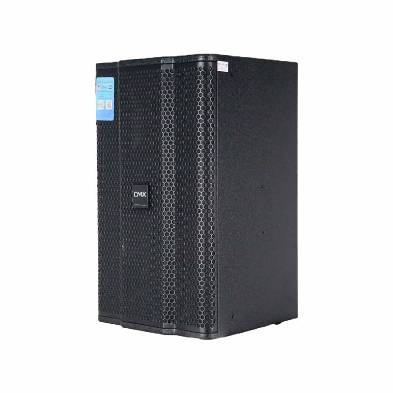 Loa DMX DS 12 cao cấp