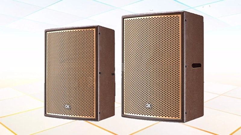 Loa karaoke DK RX15