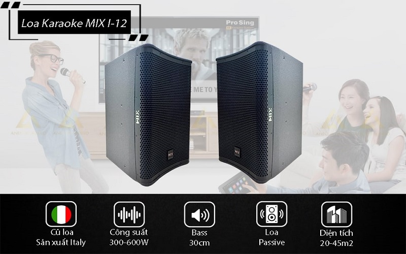 Loa karaoke MIX I-12 thuộc dòng sản phẩm loa full toàn dải 2 chiều