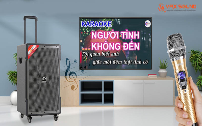Loa kéo dùng cho không gian mở rộng